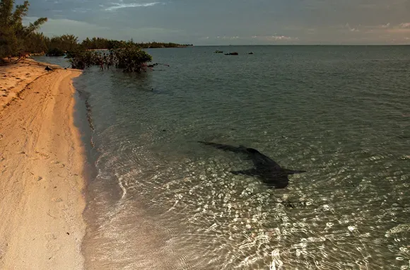 10 Beach Dangers
